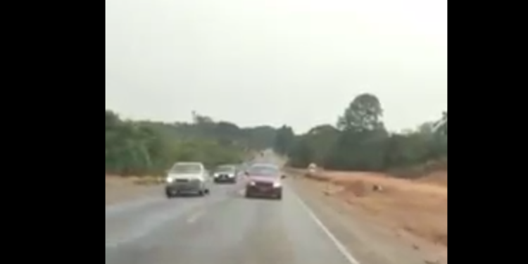 [Vídeo] Mulher é flagrada transitando em marcha ré em rodovia de SC