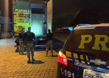 [Vídeo] Cerca de 225 mil maços de cigarros contrabandeados são apreendidos na BR-280, em Jaraguá do Sul