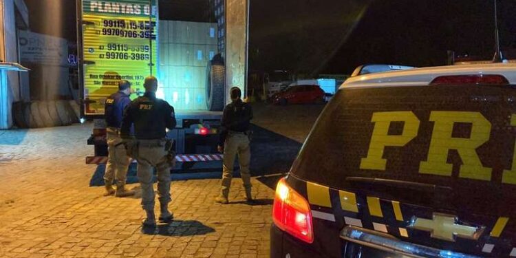 [Vídeo] Cerca de 225 mil maços de cigarros contrabandeados são apreendidos na BR-280, em Jaraguá do Sul