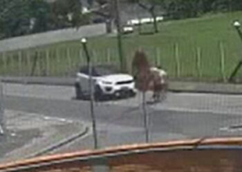 [Vídeo] Adolescentes em bicicleta motorizada são atingidos por carro em Blumenau