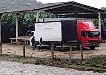 [Vídeo] Câmera registra furto dentro de caminhão em Joinville