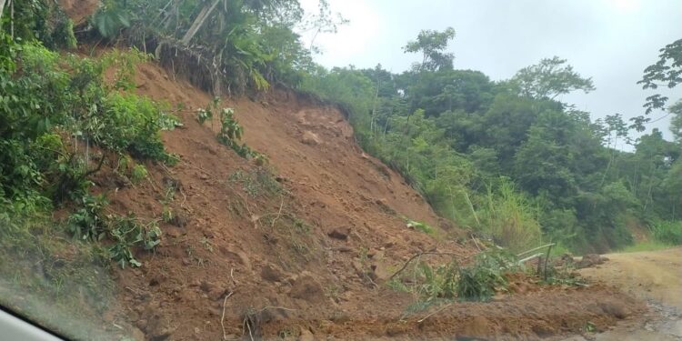 Rua de Jaraguá do Sul fica parcialmente interditada após queda de barreira