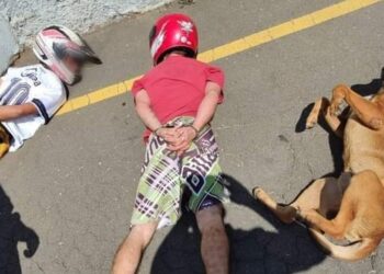 Durante abordagem policial no Paraná, cão parceiro deita ao lado de suspeitos e viraliza