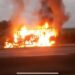 [Vídeo] Caminhão pega fogo e fica destruído na BR-101