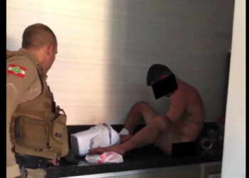 Família encontra “peladão” na pia da cozinha em SC