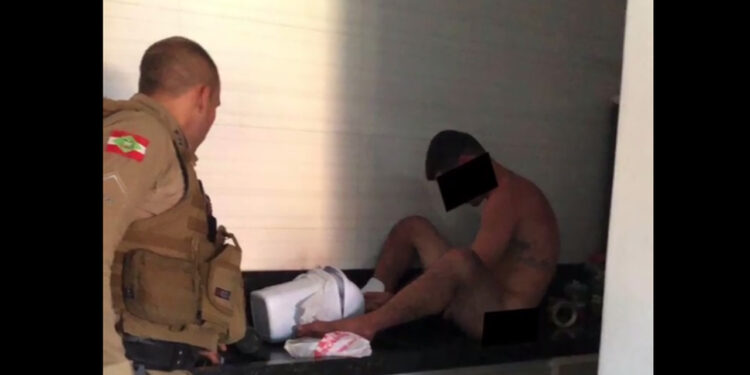 Família encontra “peladão” na pia da cozinha em SC