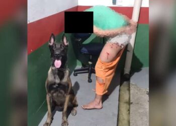 Homem tenta fugir do Presídio de Jaraguá do Sul, mas cachorro impede fuga
