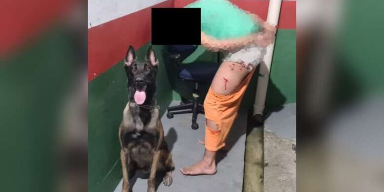 Homem tenta fugir do Presídio de Jaraguá do Sul, mas cachorro impede fuga