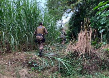 Policiais seguem no cerco em busca de foragido que atropelou e matou PM em Massaranduba