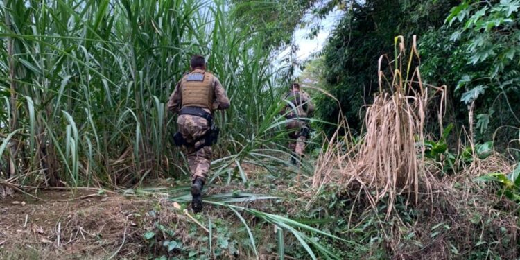 Policiais seguem no cerco em busca de foragido que atropelou e matou PM em Massaranduba