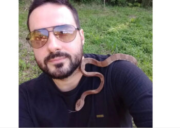 Cobra rara é resgatada em para-brisa de carro em Jaraguá do Sul