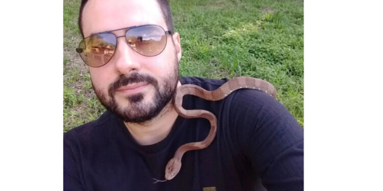 Cobra rara é resgatada em para-brisa de carro em Jaraguá do Sul