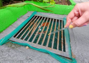 Jaraguá do Sul permanece como município infestado pelo mosquito da dengue