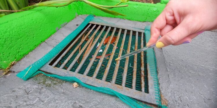 Jaraguá do Sul permanece como município infestado pelo mosquito da dengue