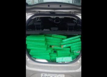 Motorista que transportava 200 kg de maconha para Jaraguá do Sul é preso no Paraná