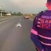 [Vídeo] Homem morre após ser atropelado na BR-280 em Guaramirim