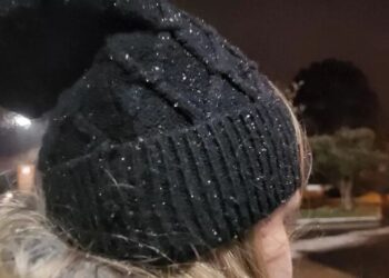 Santa Catarina registra primeira neve do ano