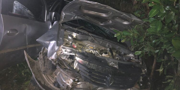 Homem fica ferido após carro sair de pista em Schroeder