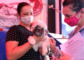 Fujama abre inscrições para castração de fêmeas de cães e gatos