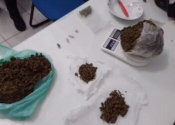 Adolescente é apreendido pela Polícia Militar por tráfico de drogas em Jaraguá do Sul