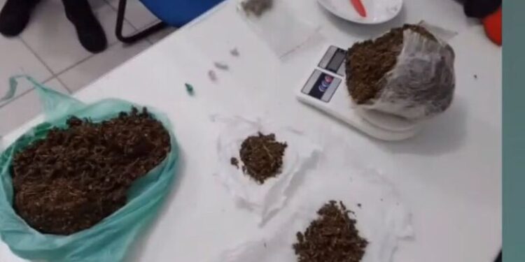 Adolescente é apreendido pela Polícia Militar por tráfico de drogas em Jaraguá do Sul
