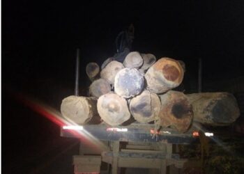 Homens são flagrados com caminhão carregado com madeira nativa em Jaraguá