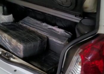 Policiais apreendem 94 kg de maconha na BR-101, em Barra Velha