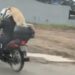 [Vídeo] Cachorro é flagrado na garupa de uma moto em Joinville