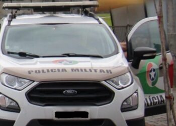 Dois homens são presos por furto de fios elétricos em Guaramirim