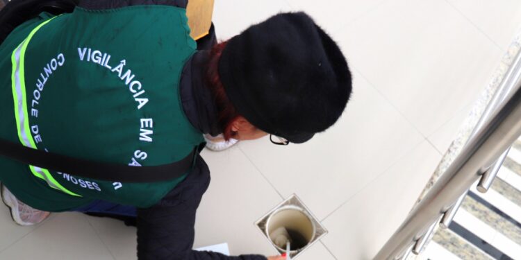 Dengue: Saiba como denunciar locais com água parada em Jaraguá do Sul