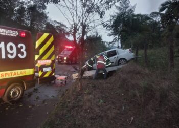 Motorista colide contra poste e árvore em Schroeder