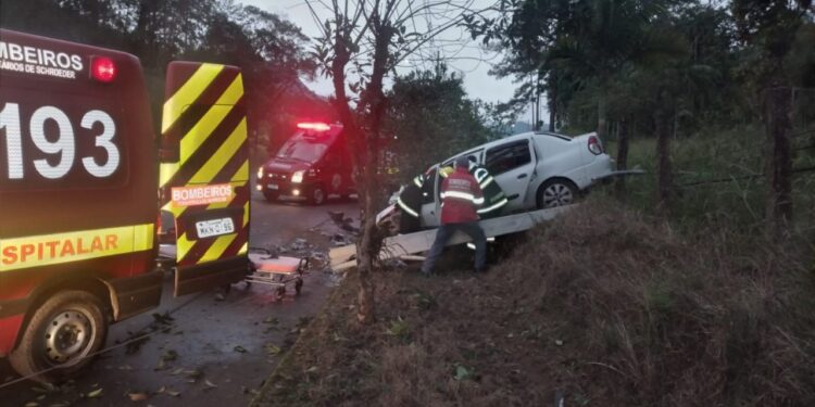 Motorista colide contra poste e árvore em Schroeder
