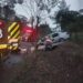 Motorista colide contra poste e árvore em Schroeder