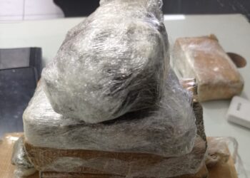 Motorista de aplicativo encontra mochila recheada de maconha em Jaraguá