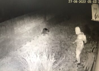 CRAS de Guaramirim é alvo de arrombamento