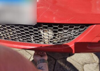 Bombeiros retiram gato preso em carro em São João do Itaperiú