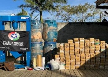 Polícia Militar de SC realiza apreensão de mais de 200 kg de drogas