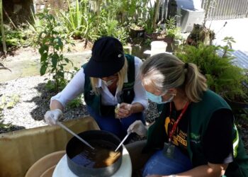 Jaraguá do Sul reativa Sala de Situação por causa do mosquito da dengue