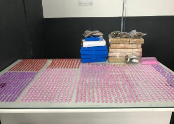 Mais de 1,5 mil comprimidos de ecstasy e 5 kg de maconha são apreendidos em Schroeder