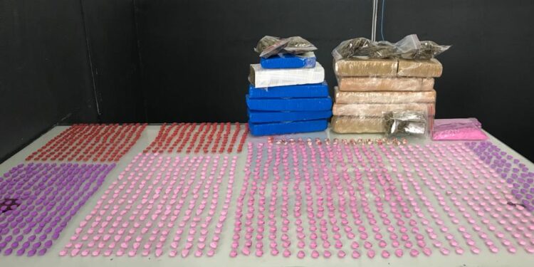 Mais de 1,5 mil comprimidos de ecstasy e 5 kg de maconha são apreendidos em Schroeder