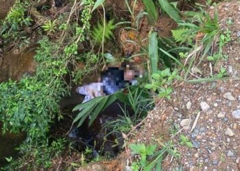 Homem é encontrado morto no limite entre Schroeder e Joinville