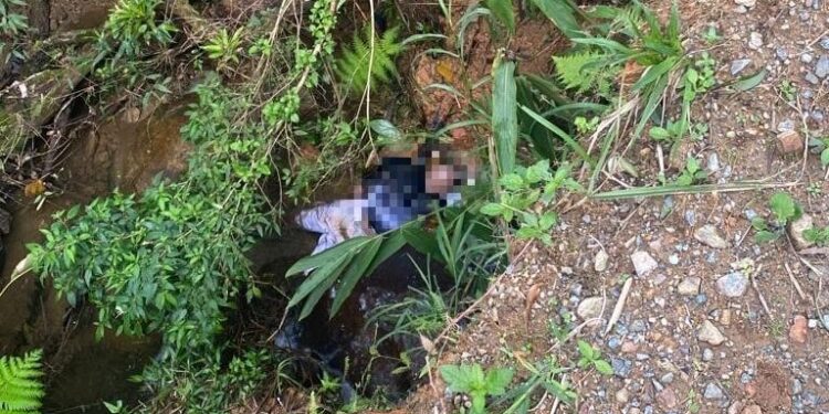 Homem é encontrado morto no limite entre Schroeder e Joinville