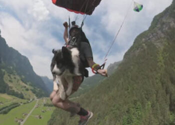 Dicas para um fim de semana quente