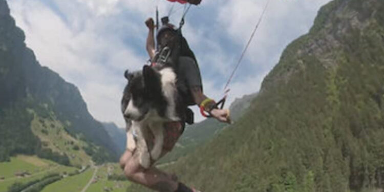 Dicas para um fim de semana quente