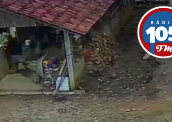 [Vídeo] Homem furta latinhas, extensão e escada em Guaramirim