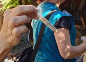 Mais de 800 focos do mosquito da Dengue foram encontrados em Jaraguá do Sul neste ano