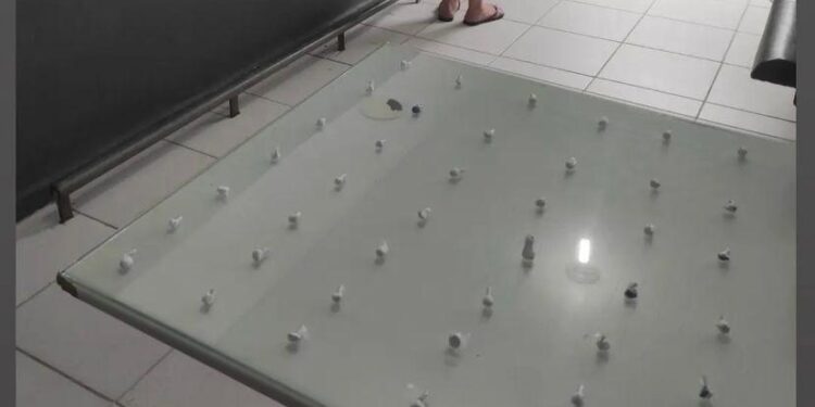 Traficante grávida é presa em Jaraguá do Sul