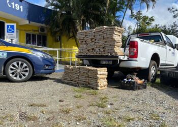 [Vídeo] Cerca de 300 kg de maconha são apreendidos pela PRF em Barra Velha
