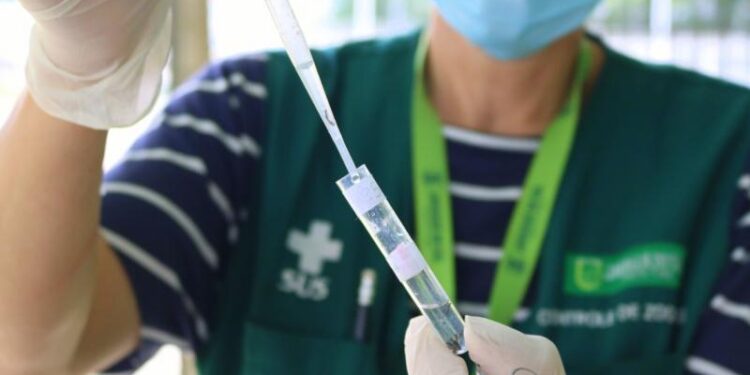 Proximidade com o verão exige mais cuidados com a dengue