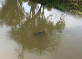 Carro de moradoras de Jaraguá desaparecidas pode estar dentro de rio